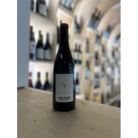 Voltige Saumur-Champigny 2020  - Clos Maurice
