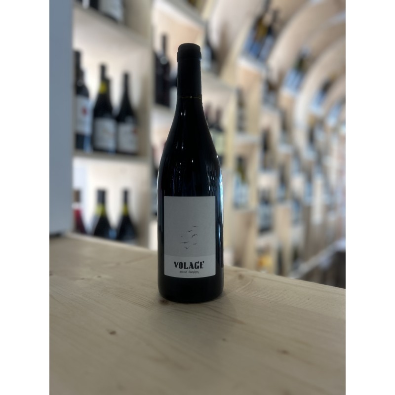 Volage 2023 - Clos Maurice
