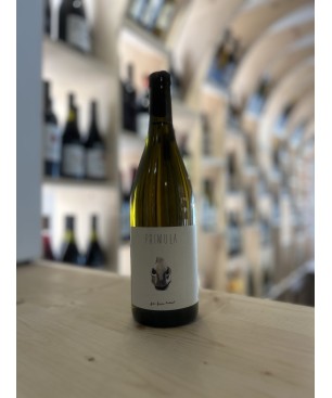 Primula 2021 - Cave de l'Iserand