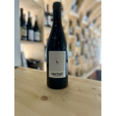 Voltige 2023 - AOP Saumur