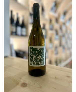 Melon de Bourgogne 2024 - La Soeur Cadette