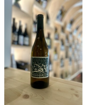 Bourgogne Blanc 2023 - La Soeur Cadette